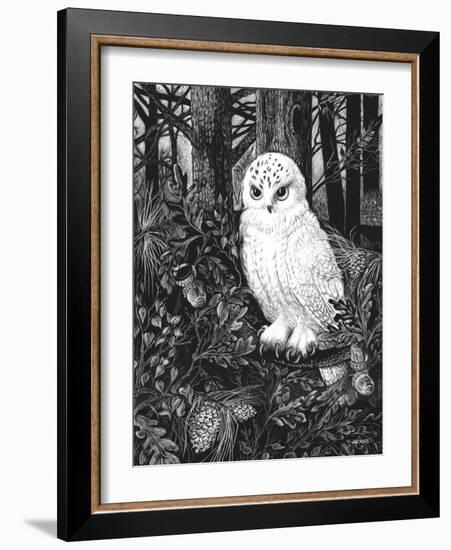 Owl-Geraldine Aikman-Framed Giclee Print