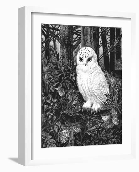 Owl-Geraldine Aikman-Framed Giclee Print