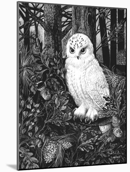 Owl-Geraldine Aikman-Mounted Giclee Print