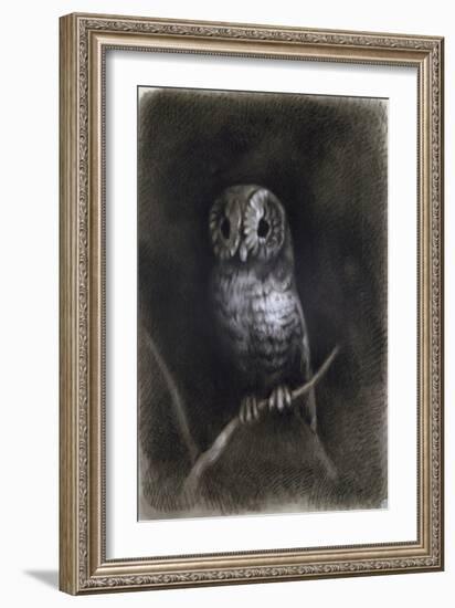 Owl-Andrea Mantegna-Framed Giclee Print