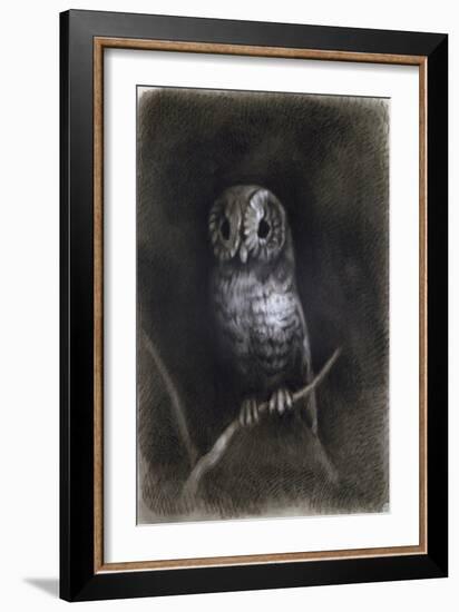 Owl-Andrea Mantegna-Framed Giclee Print