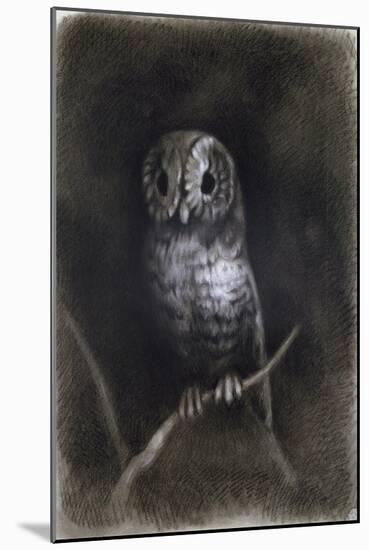 Owl-Andrea Mantegna-Mounted Giclee Print