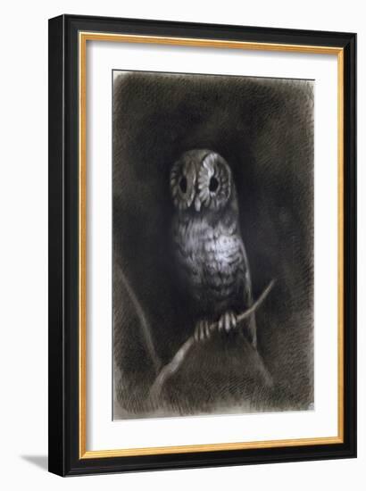 Owl-Andrea Mantegna-Framed Giclee Print