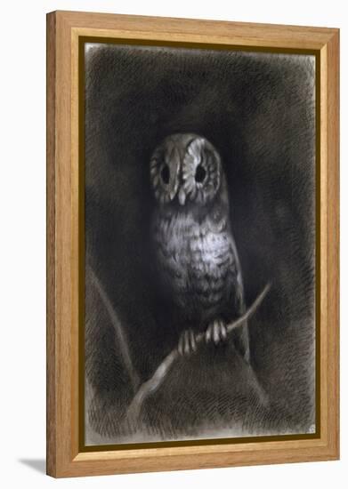 Owl-Andrea Mantegna-Framed Premier Image Canvas