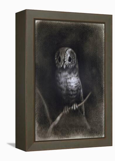 Owl-Andrea Mantegna-Framed Premier Image Canvas