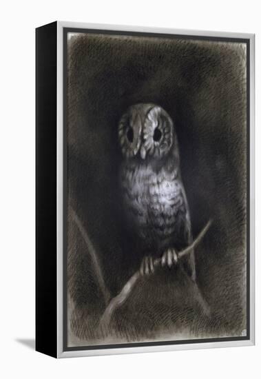 Owl-Andrea Mantegna-Framed Premier Image Canvas