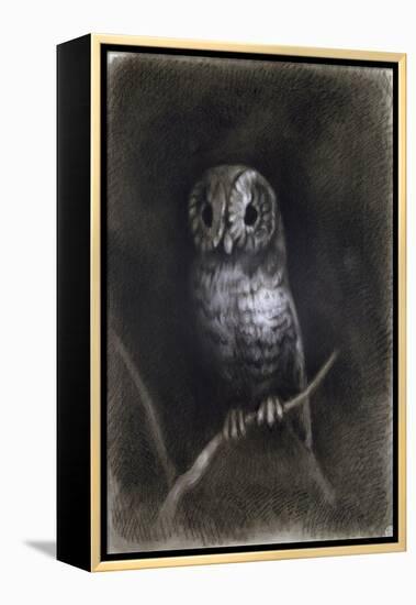 Owl-Andrea Mantegna-Framed Premier Image Canvas