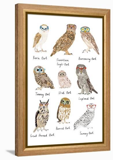 Owls in Glasses-Hanna Melin-Framed Stretched Canvas