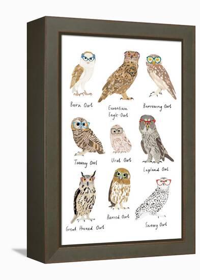 Owls in Glasses-Hanna Melin-Framed Stretched Canvas