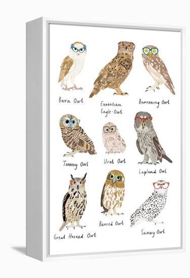 Owls in Glasses-Hanna Melin-Framed Stretched Canvas