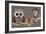 Owls-Erin Clark-Framed Giclee Print