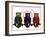 Owls-Teofilo Olivieri-Framed Giclee Print