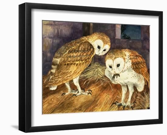 Owls-English School-Framed Giclee Print