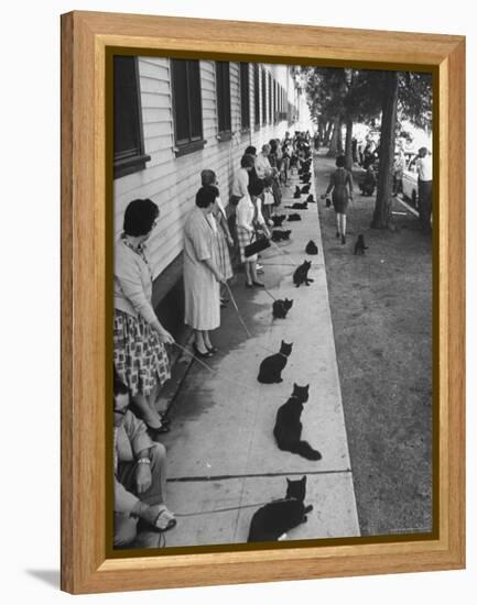 Owners with Their Black Cats, Waiting in Line For Audition in Movie "Tales of Terror"-Ralph Crane-Framed Premier Image Canvas