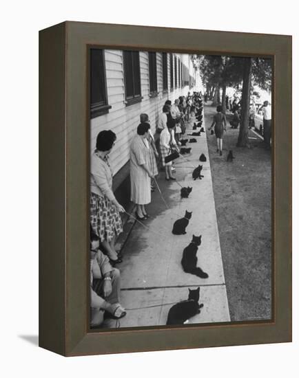 Owners with Their Black Cats, Waiting in Line For Audition in Movie "Tales of Terror"-Ralph Crane-Framed Premier Image Canvas