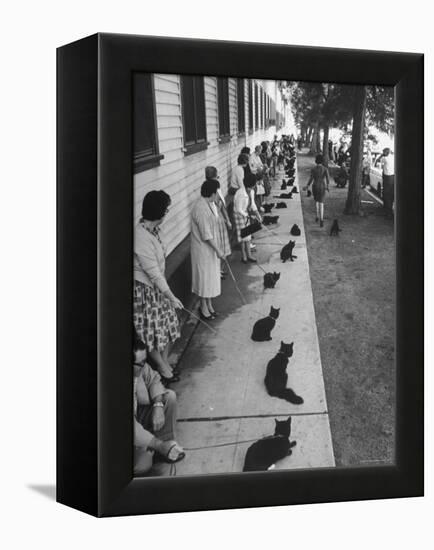 Owners with Their Black Cats, Waiting in Line For Audition in Movie "Tales of Terror"-Ralph Crane-Framed Premier Image Canvas