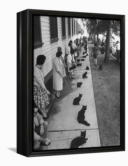 Owners with Their Black Cats, Waiting in Line For Audition in Movie "Tales of Terror"-Ralph Crane-Framed Premier Image Canvas