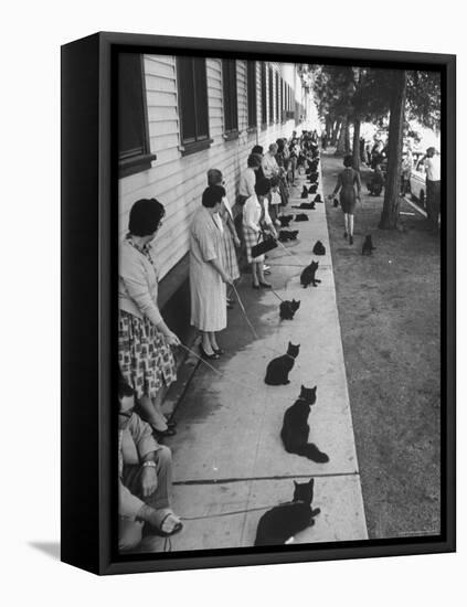 Owners with Their Black Cats, Waiting in Line For Audition in Movie "Tales of Terror"-Ralph Crane-Framed Premier Image Canvas
