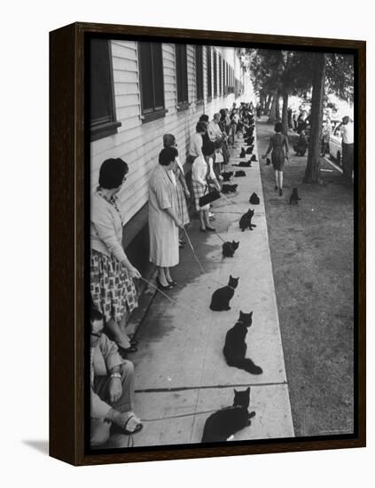 Owners with Their Black Cats, Waiting in Line For Audition in Movie "Tales of Terror"-Ralph Crane-Framed Premier Image Canvas