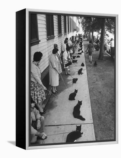 Owners with Their Black Cats, Waiting in Line For Audition in Movie "Tales of Terror"-Ralph Crane-Framed Premier Image Canvas