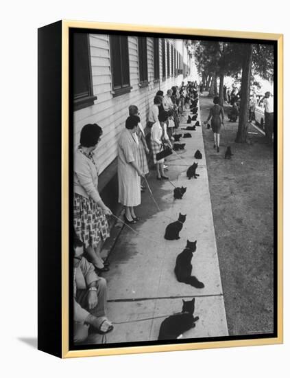 Owners with Their Black Cats, Waiting in Line For Audition in Movie "Tales of Terror"-Ralph Crane-Framed Premier Image Canvas