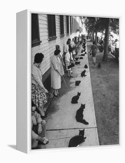 Owners with Their Black Cats, Waiting in Line For Audition in Movie "Tales of Terror"-Ralph Crane-Framed Premier Image Canvas