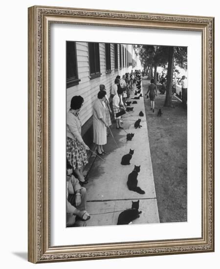 Owners with Their Black Cats, Waiting in Line For Audition in Movie "Tales of Terror"-Ralph Crane-Framed Premium Photographic Print