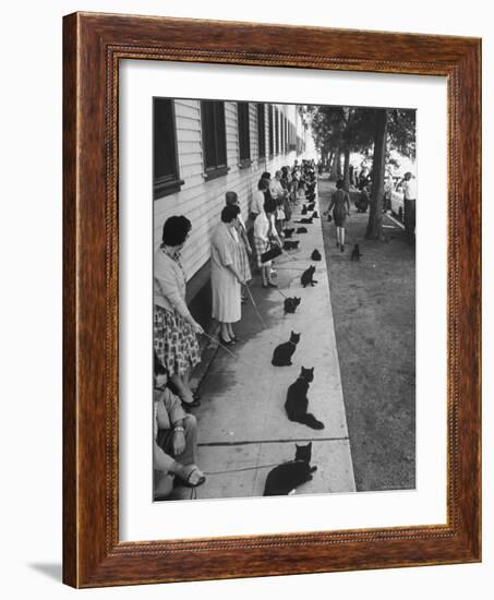 Owners with Their Black Cats, Waiting in Line For Audition in Movie "Tales of Terror"-Ralph Crane-Framed Premium Photographic Print