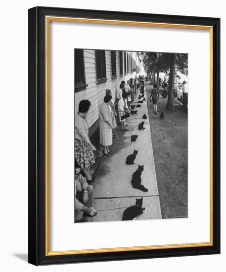 Owners with Their Black Cats, Waiting in Line For Audition in Movie "Tales of Terror"-Ralph Crane-Framed Premium Photographic Print