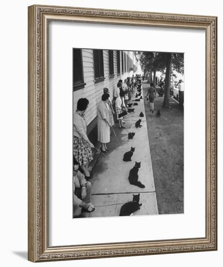 Owners with Their Black Cats, Waiting in Line For Audition in Movie "Tales of Terror"-Ralph Crane-Framed Premium Photographic Print