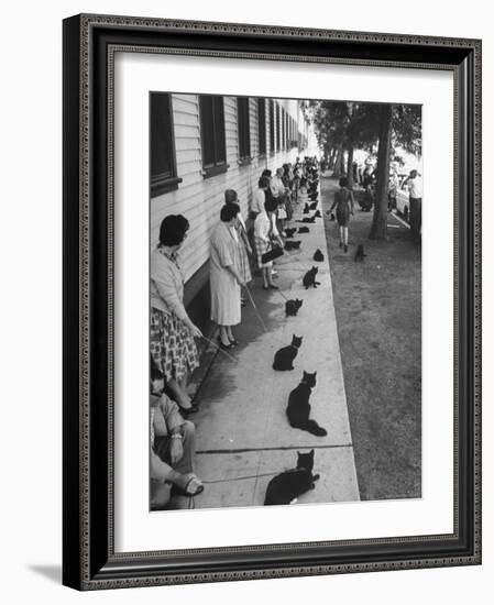 Owners with Their Black Cats, Waiting in Line For Audition in Movie "Tales of Terror"-Ralph Crane-Framed Premium Photographic Print