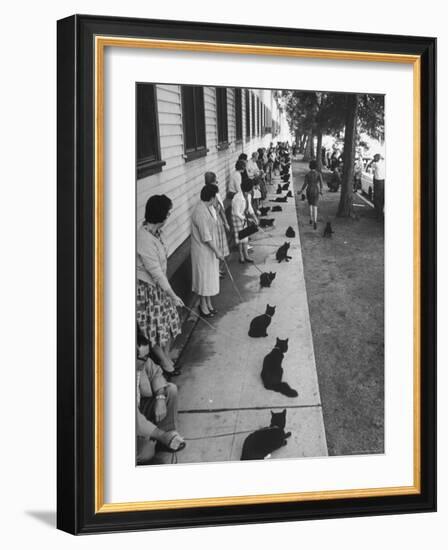 Owners with Their Black Cats, Waiting in Line For Audition in Movie "Tales of Terror"-Ralph Crane-Framed Premium Photographic Print