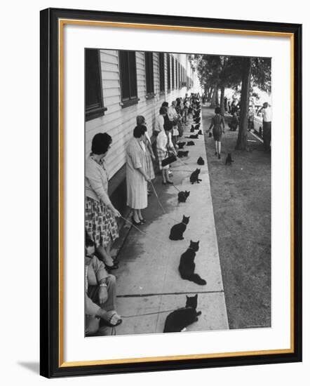 Owners with Their Black Cats, Waiting in Line For Audition in Movie "Tales of Terror"-Ralph Crane-Framed Premium Photographic Print