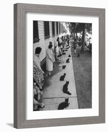 Owners with Their Black Cats, Waiting in Line For Audition in Movie "Tales of Terror"-Ralph Crane-Framed Photographic Print