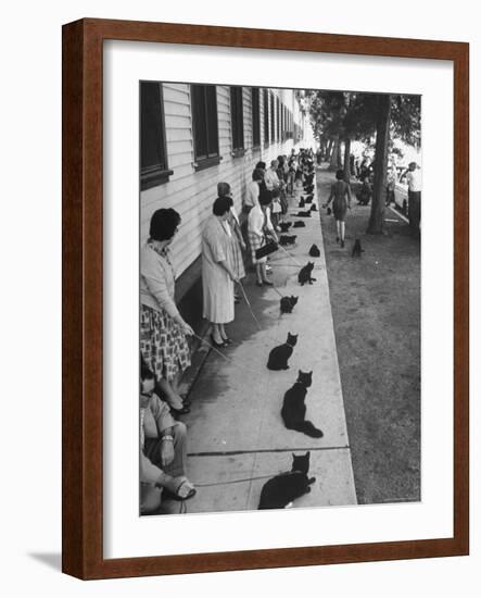 Owners with Their Black Cats, Waiting in Line For Audition in Movie "Tales of Terror"-Ralph Crane-Framed Photographic Print