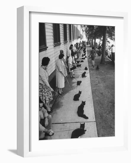 Owners with Their Black Cats, Waiting in Line For Audition in Movie "Tales of Terror"-Ralph Crane-Framed Photographic Print