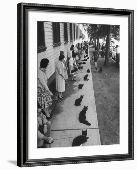 Owners with Their Black Cats, Waiting in Line For Audition in Movie "Tales of Terror"-Ralph Crane-Framed Photographic Print