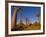 Ox Cart at the Avenue De Baobabs at Sunrise, Madagascar, Africa-null-Framed Photographic Print