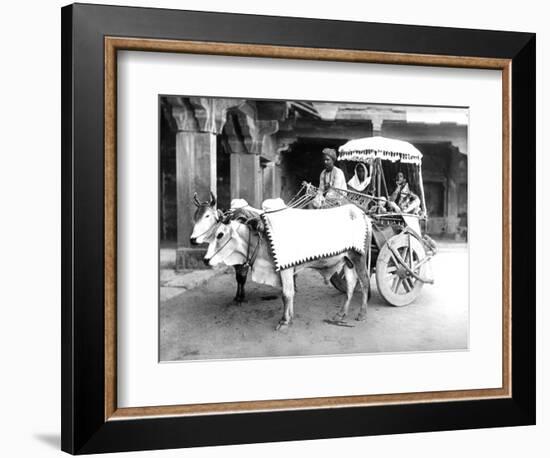 Ox-Drawn Cart, India, C.1907-null-Framed Photographic Print