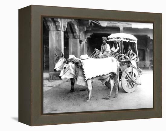 Ox-Drawn Cart, India, C.1907-null-Framed Premier Image Canvas