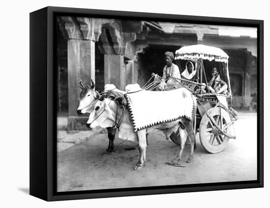 Ox-Drawn Cart, India, C.1907-null-Framed Premier Image Canvas