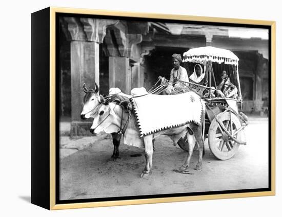 Ox-Drawn Cart, India, C.1907-null-Framed Premier Image Canvas