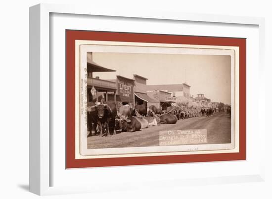 Ox Teams at Sturgis, D.T. [I.E. Dakota Territory]-John C. H. Grabill-Framed Giclee Print