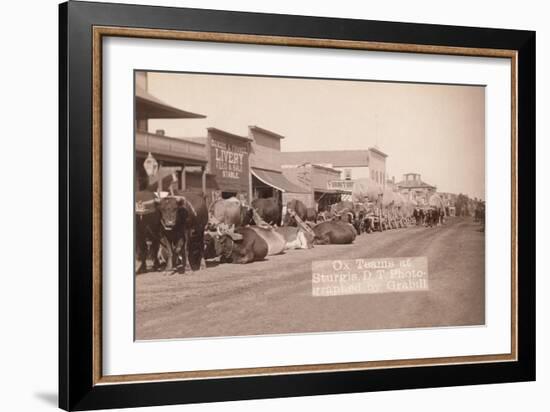 Ox Teams in the Dakota Territory-John C.H. Grabill-Framed Art Print