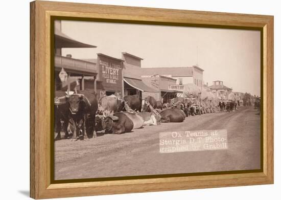 Ox Teams in the Dakota Territory-John C.H. Grabill-Framed Stretched Canvas