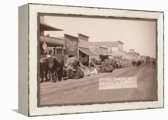 Ox Teams in the Dakota Territory-John C.H. Grabill-Framed Stretched Canvas