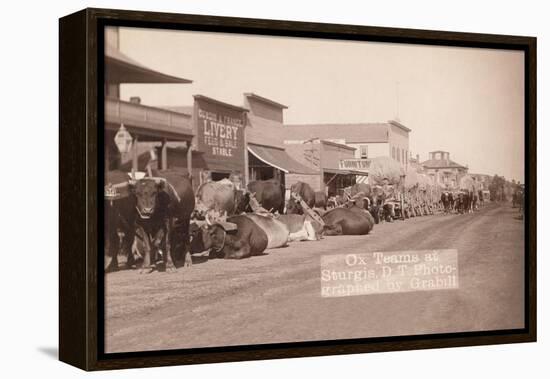 Ox Teams in the Dakota Territory-John C.H. Grabill-Framed Stretched Canvas