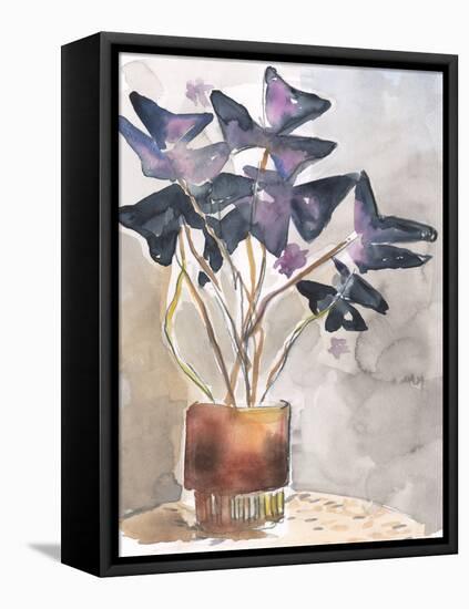 Oxalis in Vase I-Jennifer Parker-Framed Stretched Canvas