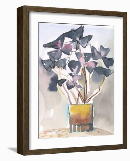 Oxalis in Vase II-Jennifer Parker-Framed Art Print