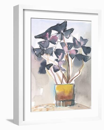 Oxalis in Vase II-Jennifer Parker-Framed Art Print